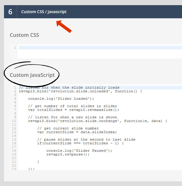 paste-custom-javascript